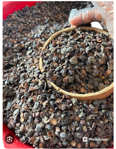 Dried iru ekiti(locust Beans) 100g